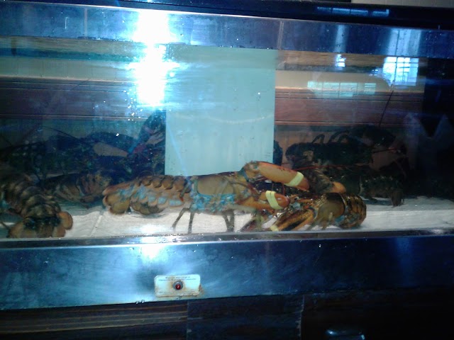 Red Lobster