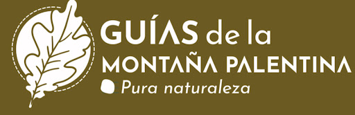 Guías de la Montaña Palentina - Thumbnail