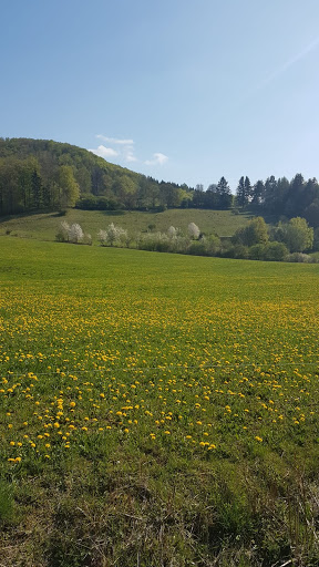 Gemeinde Diedorf-Rhön - Visual