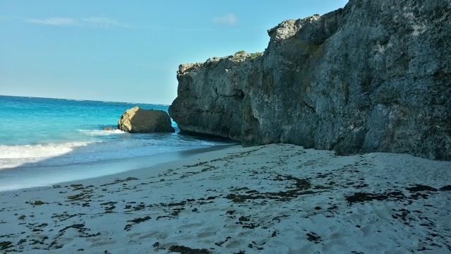 Bottom Bay