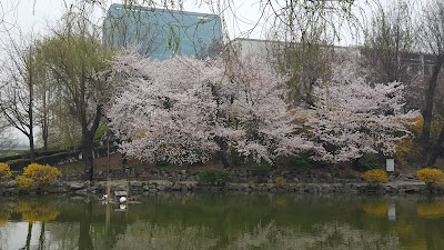 photo of 인하대학교 공과대학