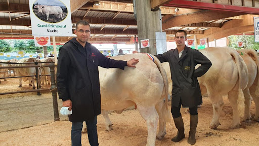 Le Charolais de Provence - Thumbnail