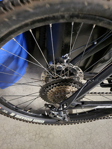 Rincon Valley Bicycle Service - Thumbnail