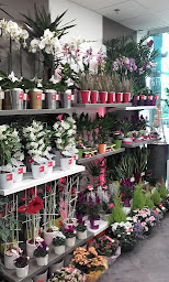 Photo n°3 de AD Fleurs à La Roche-sur-Yon (Fleuriste)