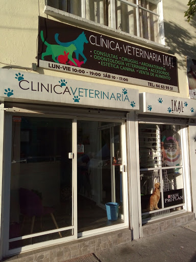 Clínica Veterinaria Ikal - Thumbnail