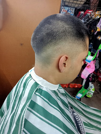 Grizzly barbershop