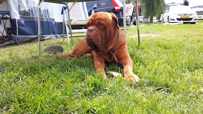 Photos of Camping de la S&ucirc;re
