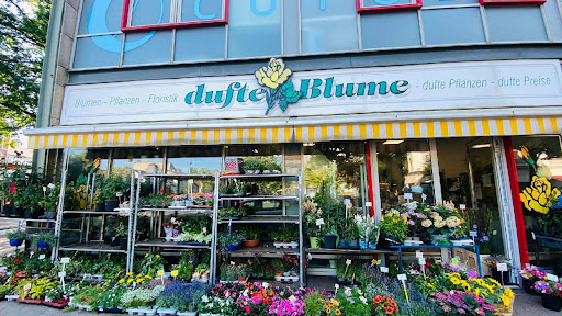 Dufte Blume - Visual