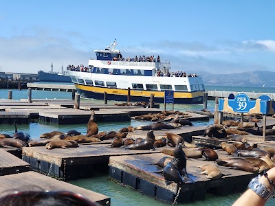 Sea Lion Center