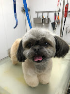 Armelle Toiletteuse Chiens Et Chats à Crécy-la-Chapelle