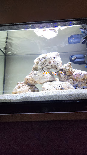 Rusty's Reefs - Thumbnail
