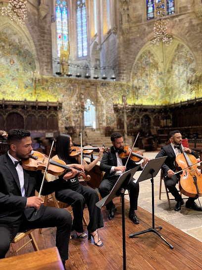 Violinista en Madrid: Músicos para eventos