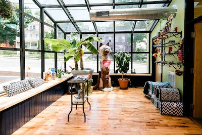 Photos of City Kitty Veterinary Care for Cats