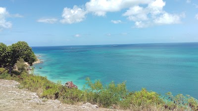 Photos of Irie Life