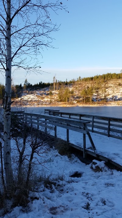 Photos of Lyngstua
