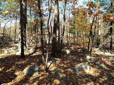 Blue Rocks Family Campground