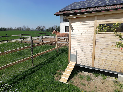 Steinberger Hof - Partyservice / Catering, Ferienwohnungen, Landwirtschaft - Thumbnail