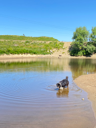 Lago Pianone - Visual