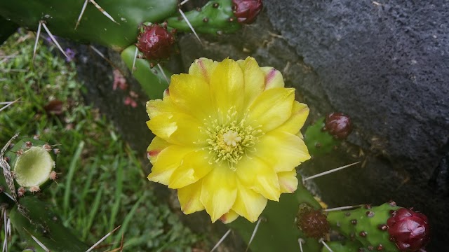 Cascade Biberon