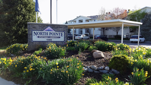 North Pointe Apartments - Thumbnail
