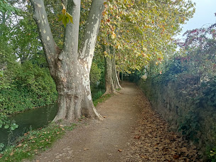 Photo n°20 de Découvrez l'Occitanie Autrement à Carcassonne (Agence de visites touristiques)