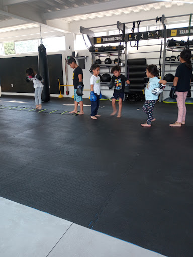 Renzo Gracie - MD Self Defense Academy Del Valle - Thumbnail