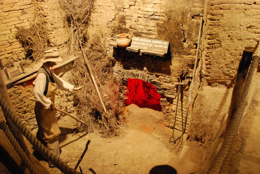 Musée de Cox - Thumbnail