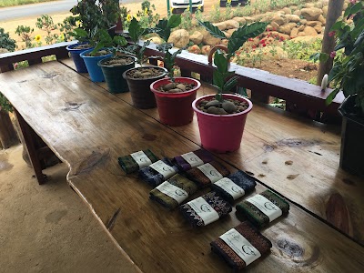 Photos of PAKSONG HIGHLAND COFFEE ESTATE