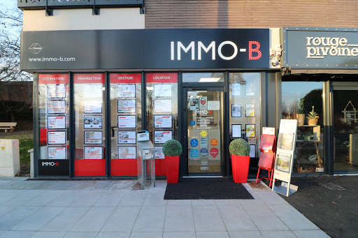IMMO-B - Visual