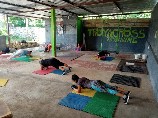 Troyacrosstraining - Visual