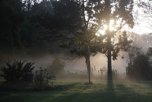 Photo n°19 de Les Aubes du Vexin à Nucourt (Chambre d'hôtes)