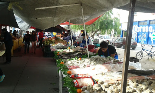 PESCADOS Y MARISCOS EL PRIMO PANCHO