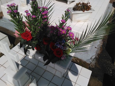 Photos of General Cemetery of Cartago