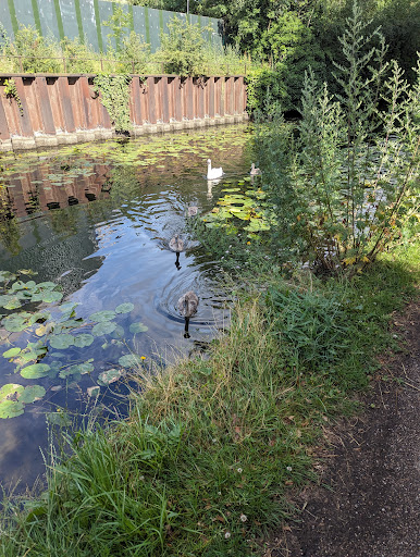 Hallam Fields Lock - Visual