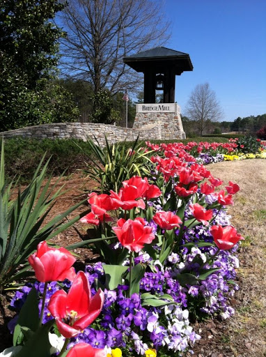 Around Canton - Visual