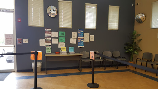 Delia Briones County Clerk - Thumbnail