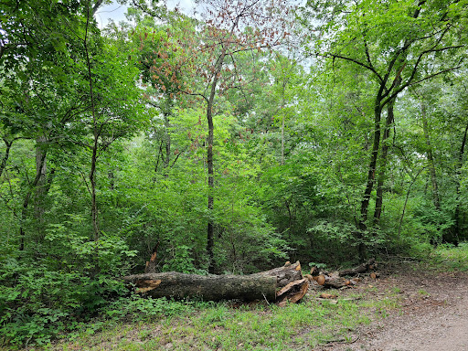 Shimek State Forest - Lick Creek Unit - Thumbnail