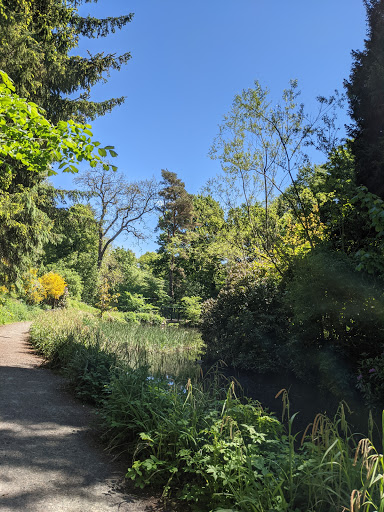 Caird Park - Thumbnail