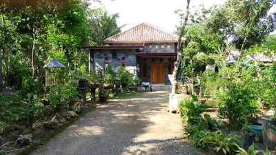 Photos of Bowo Galleri Bonsai Dan Lukisan