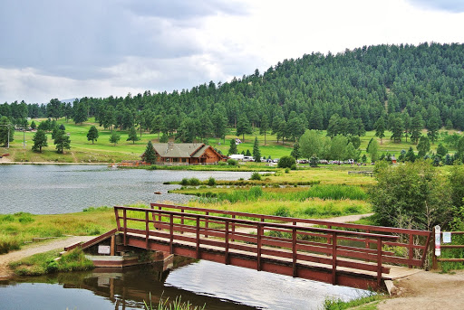 RE/MAX Alliance Evergreen