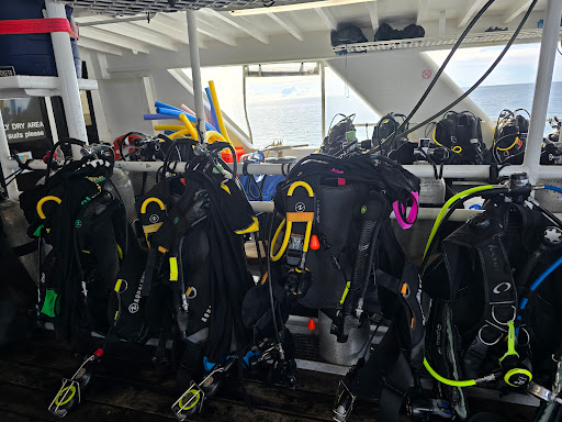 Quicksilver Dive - Visual
