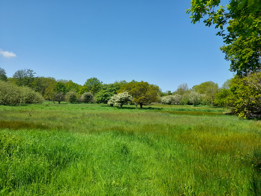 Whitwell Common - Visual
