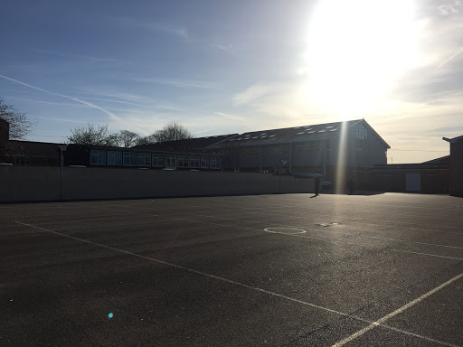 Sheldon School - Visual
