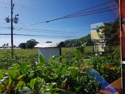 Photos of Hotel Samara Inn