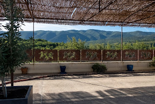 Photo n°5 de Domaine ALLOÏS à Caseneuve (Vignoble)