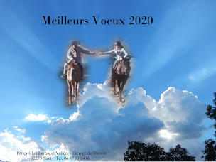 Photo n°1 de Poney Club Larzac et Vallées - Elevage du Durzon à Nant (Centre équestre)