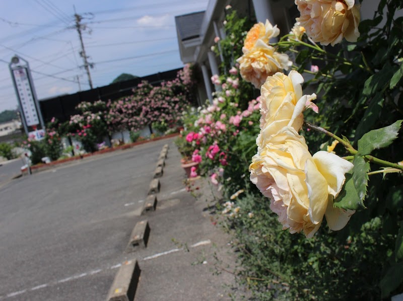 河村税務会計事務所