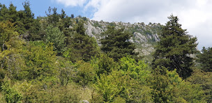 Photo n°8 de Bergeron Immobiler 