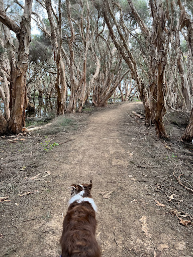 Herdsman Lake Regional Park Gallery - Australia