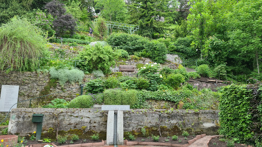 Klosterberggarten - Visual